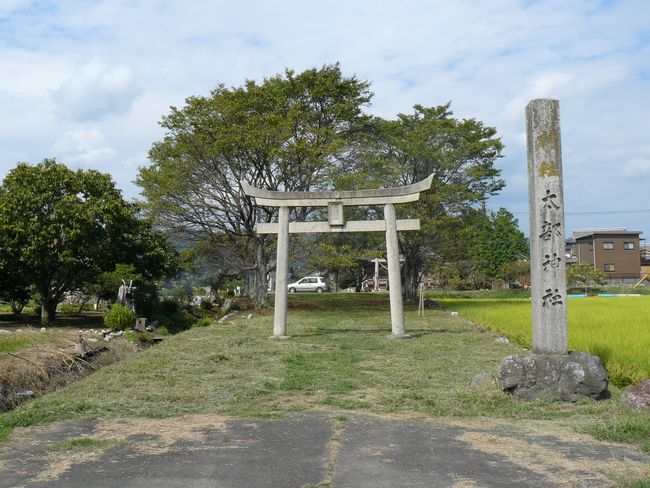 �����_��