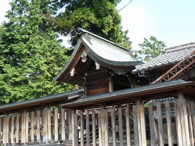 �����_��