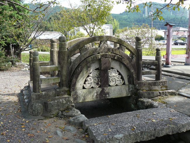 �����_��