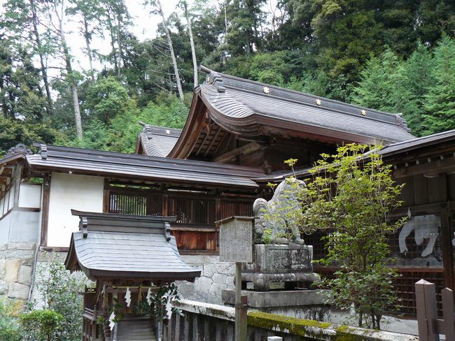 ���Z�s�E�����_��