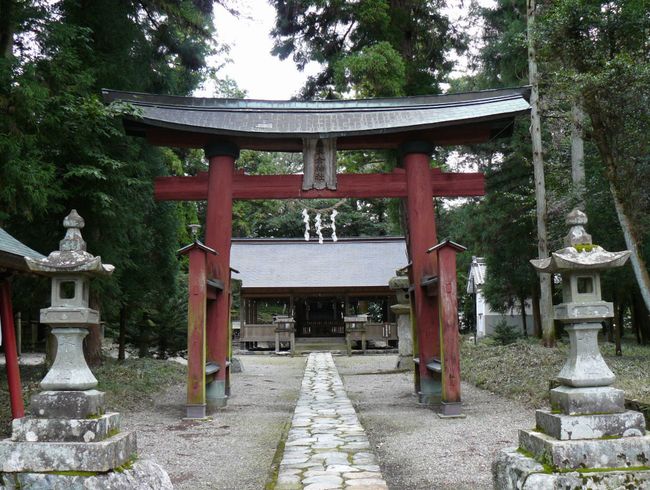 ���Z�s�E�^�ؑq�_��