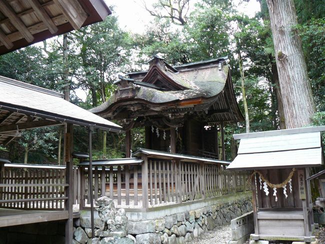 ���Z�s�E�^�ؑq�_��