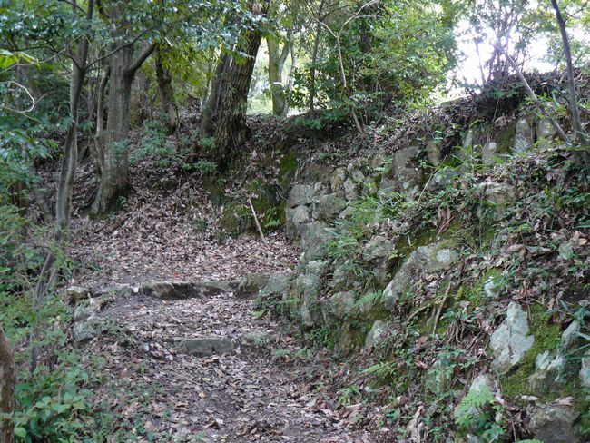 ���Z�s�E���q�R��