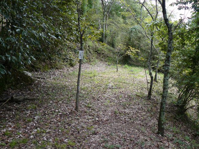 ���Z�s�E���q�R��