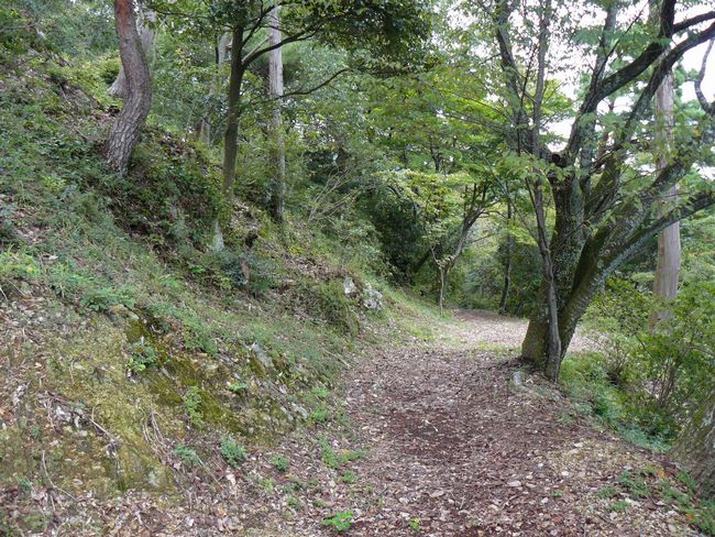 ���Z�s�E���q�R��