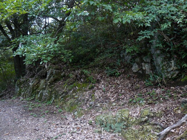 ���Z�s�E���q�R��