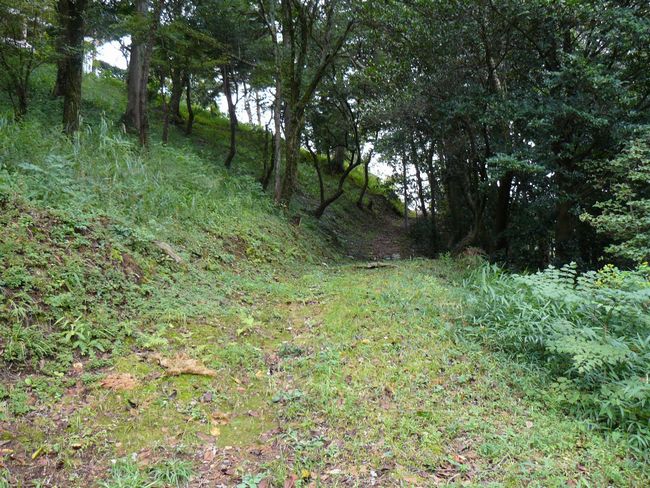 ���Z�s�E���q�R��