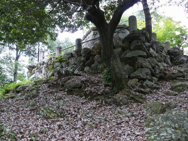 ���Z�s�E���q�R��