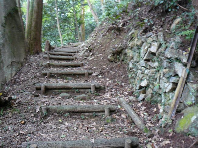 ���Z�s�E���q�R��