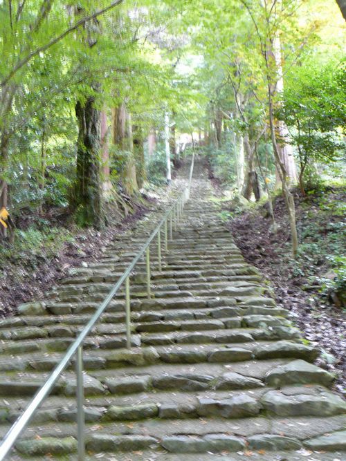 ���Z�s�E���c�_��