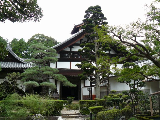 ���Z�s�E���׎�