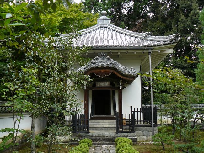 ���Z�s�E���׎�