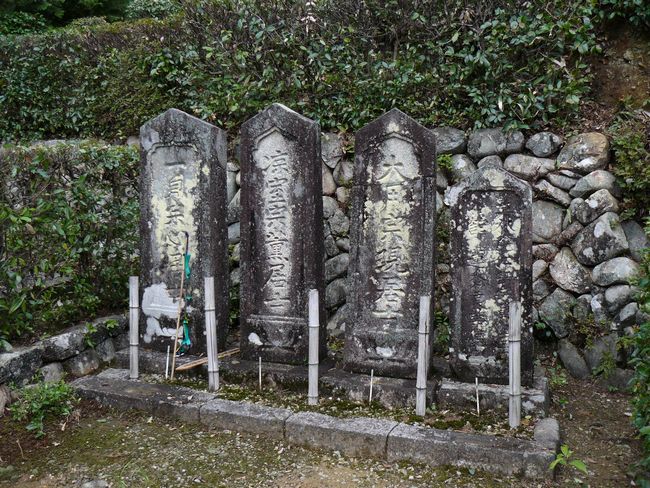 ���Z�s�E���׎�