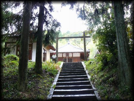 小野寺参道石段から見上げた木戸門