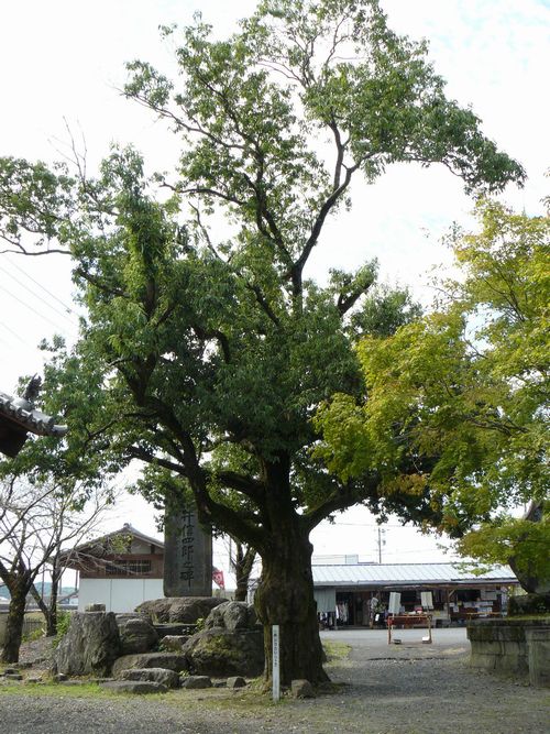 �䐓���E�苻��