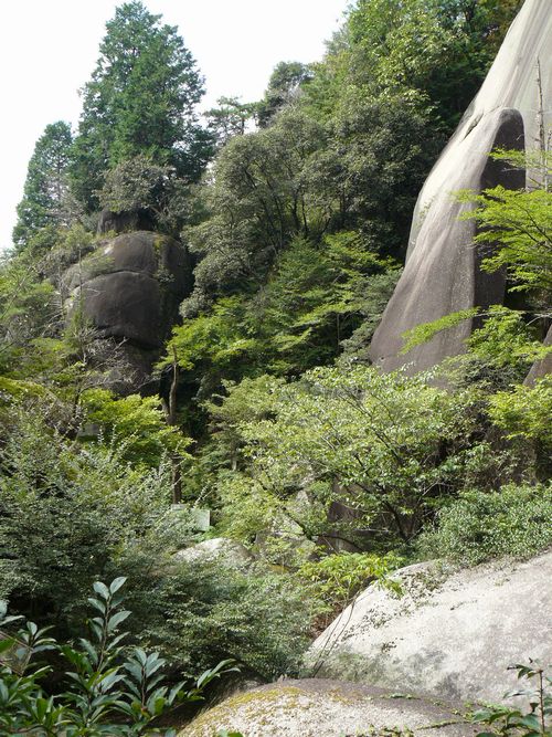 �䐓���E�S��