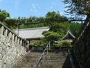 正願寺境内に垣間見える綺麗に刈り込まれた松と石造玉垣