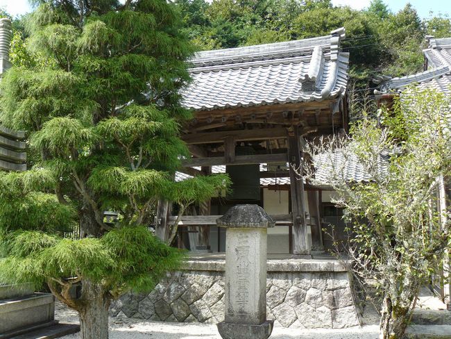 ���Q�s�E�J����