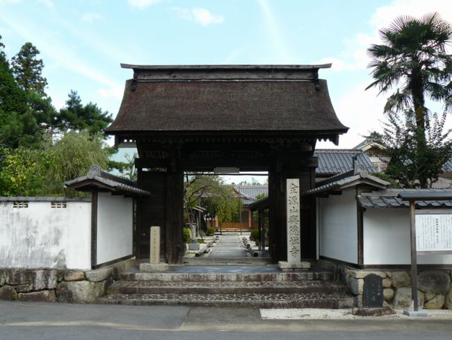 ���Q�s�E������