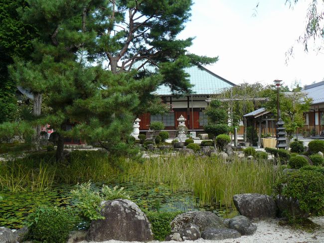 ���Q�s�E������