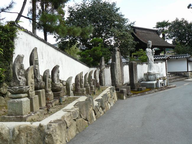 ���Q�s�E������