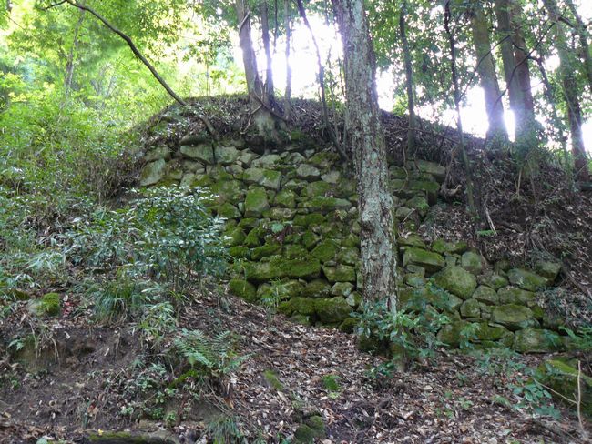 ���Q�s�E������