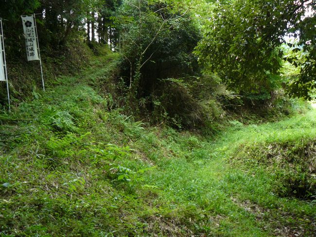 ���Q�s�E������