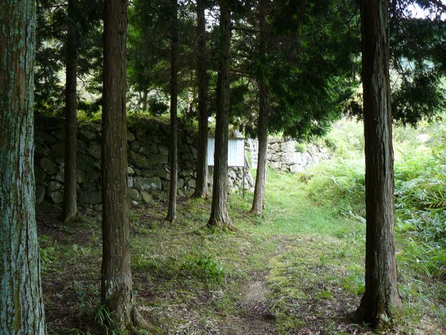 ���Q�s�E������