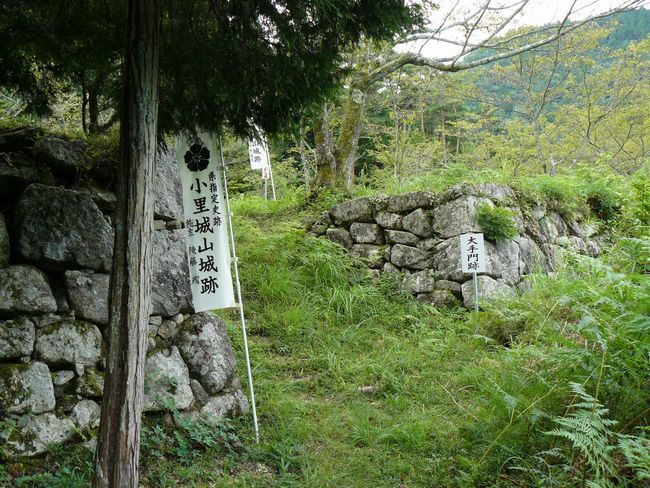 ���Q�s�E������