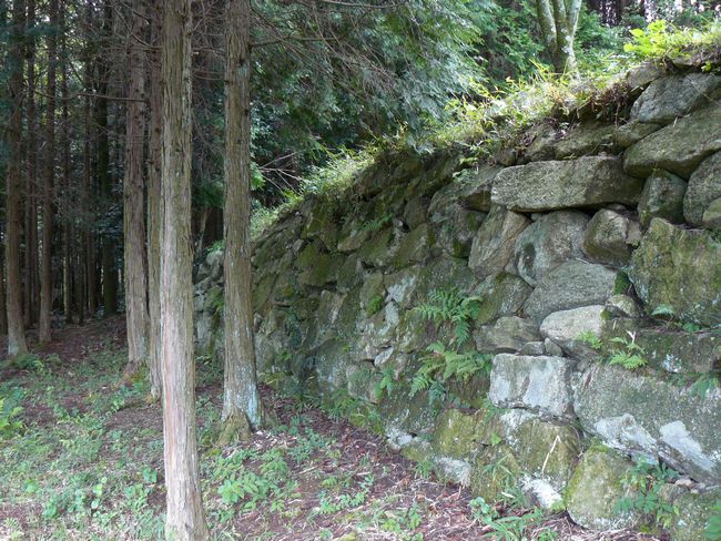 ���Q�s�E������