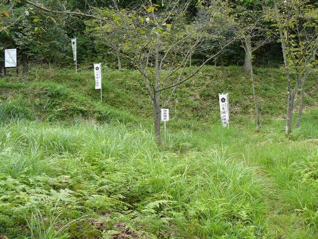 ���Q�s�E������