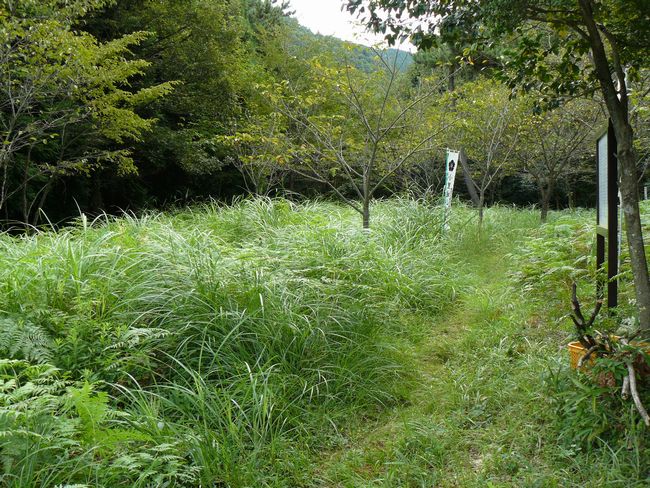 ���Q�s�E������