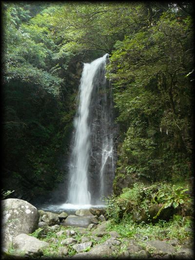 竜吟の滝の全景を写した写真