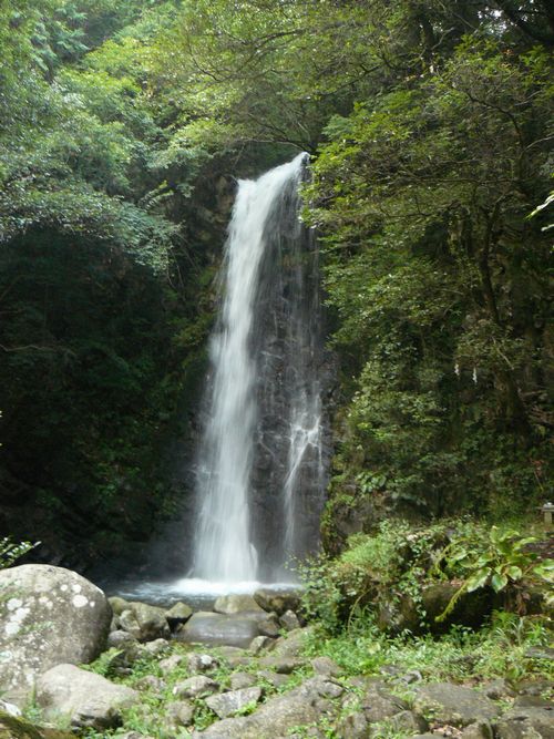 ���Q�s�E�����