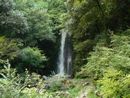 竜吟の滝を遠景から撮影した画像(写真)