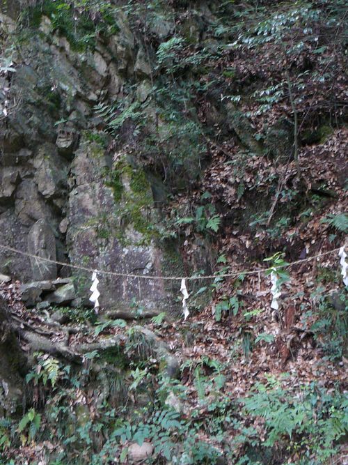 ���Q�s�E�����