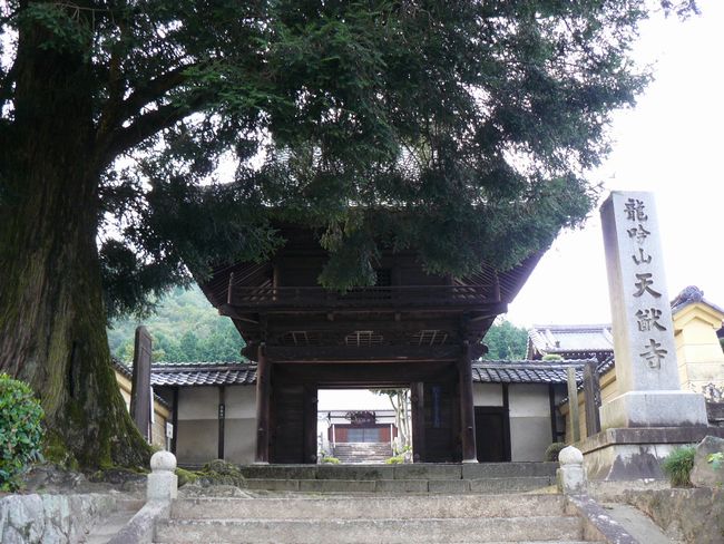 ���Q�s�E�V�Q��