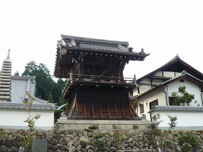 ���Q�s�E�V�Q��