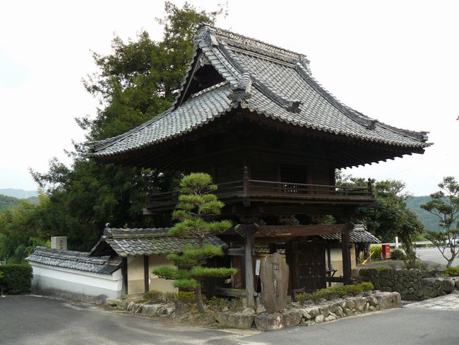 ���Q�s�E�V�Q��