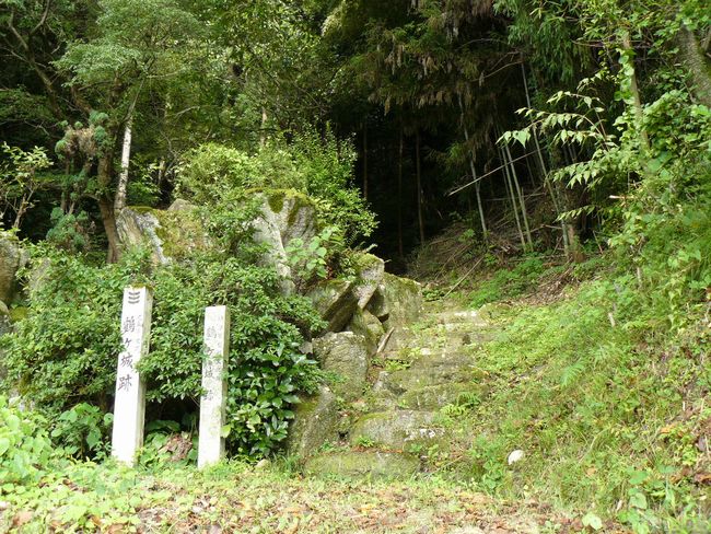 ���Q�s�E�߃���