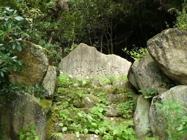 ���Q�s�E�߃���