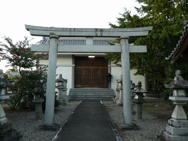 �����_��