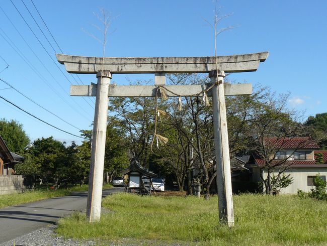 �����_��