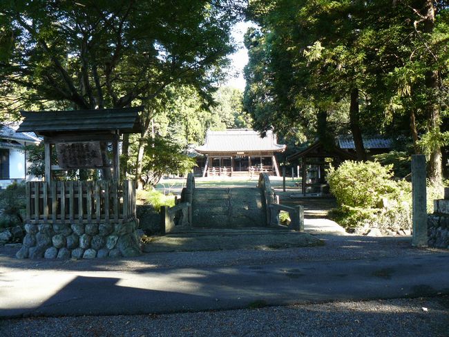 �����_��