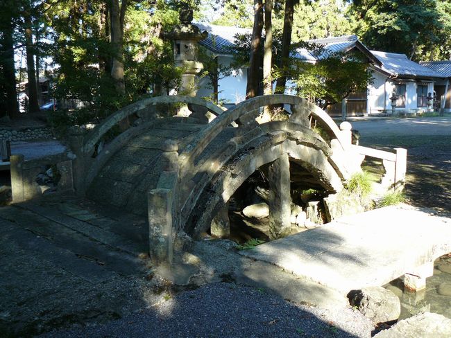 �����_��