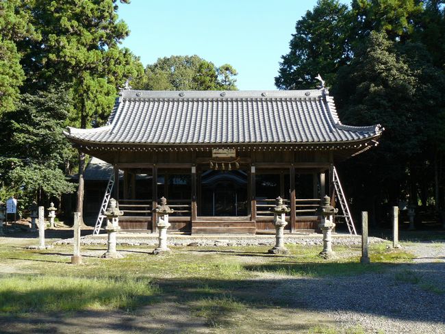 �����_��