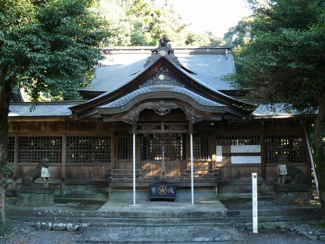 �����_��