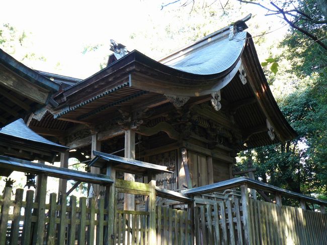 �����_��