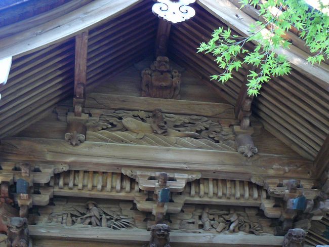 �����_��