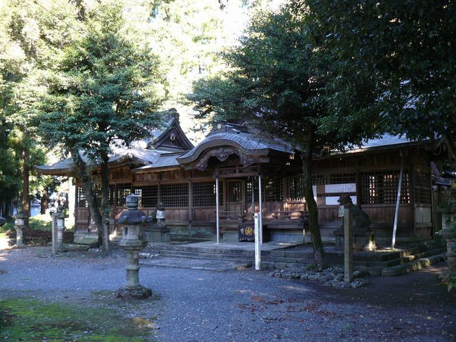 �����_��